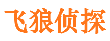 勉县私人侦探